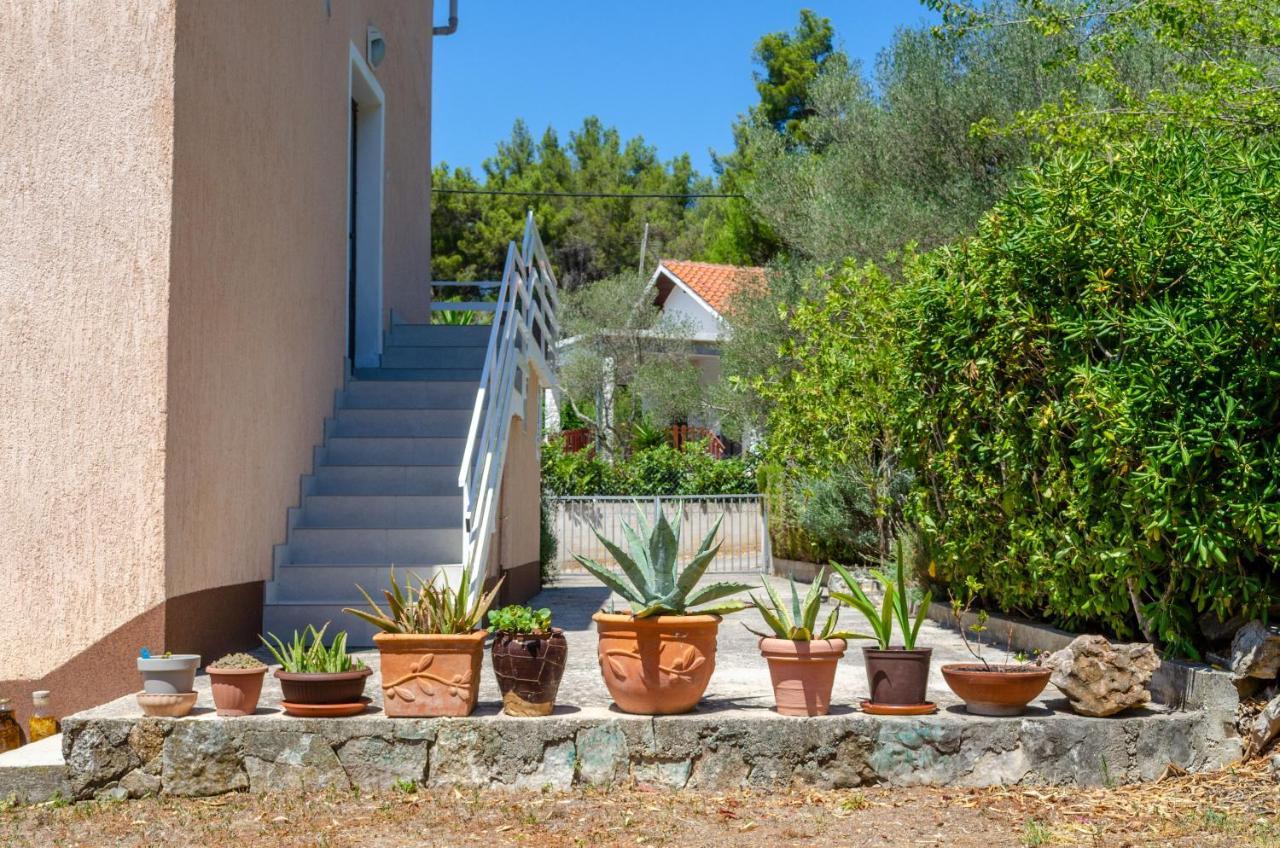 Apartment Tanja Vela Luka Luaran gambar