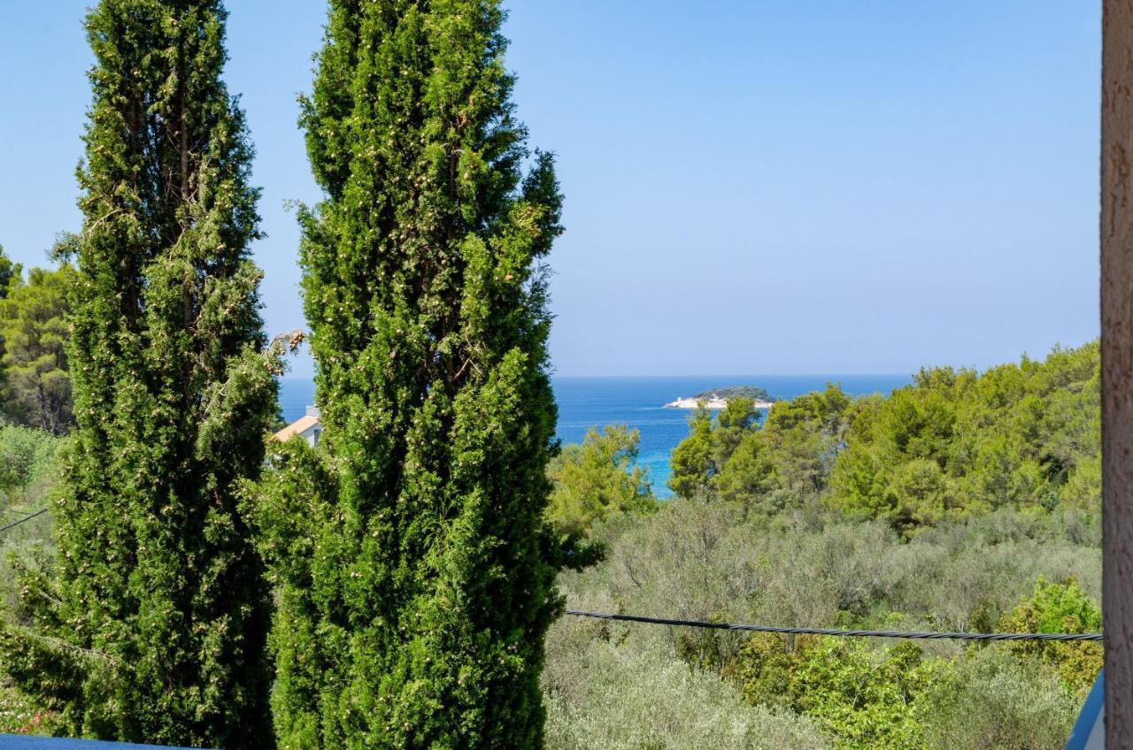 Apartment Tanja Vela Luka Luaran gambar