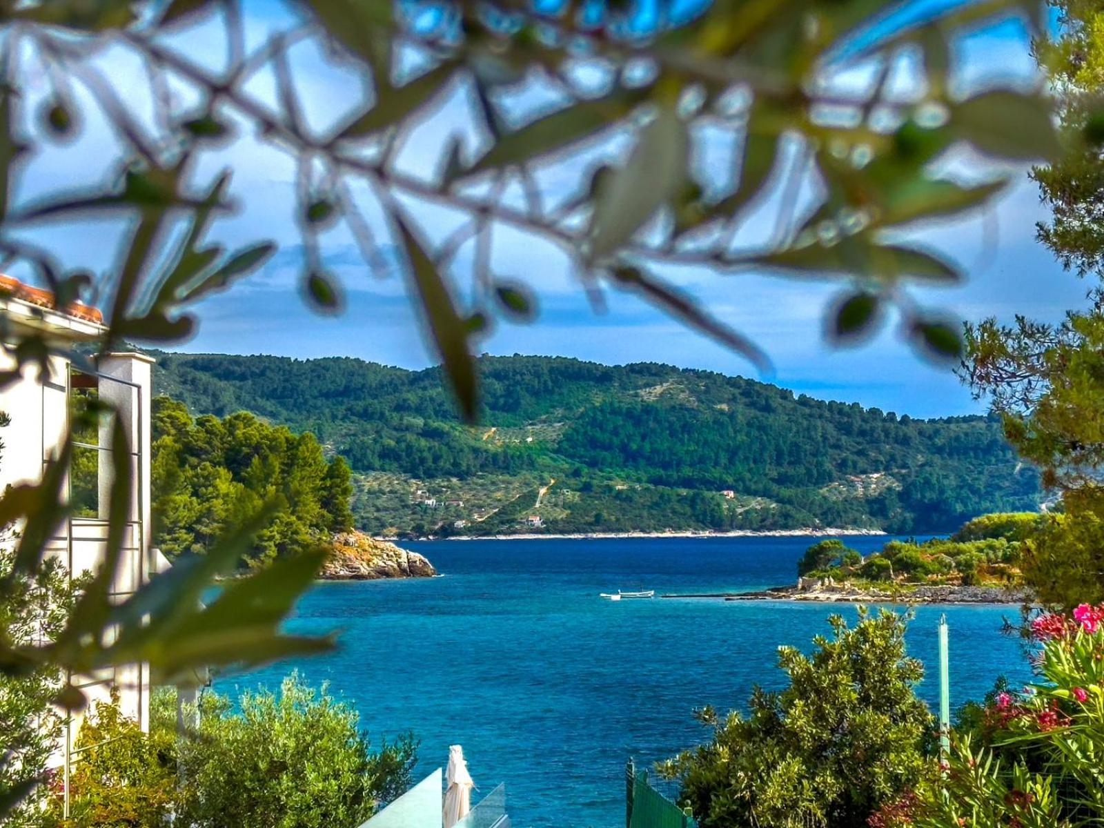 Apartment Tanja Vela Luka Luaran gambar