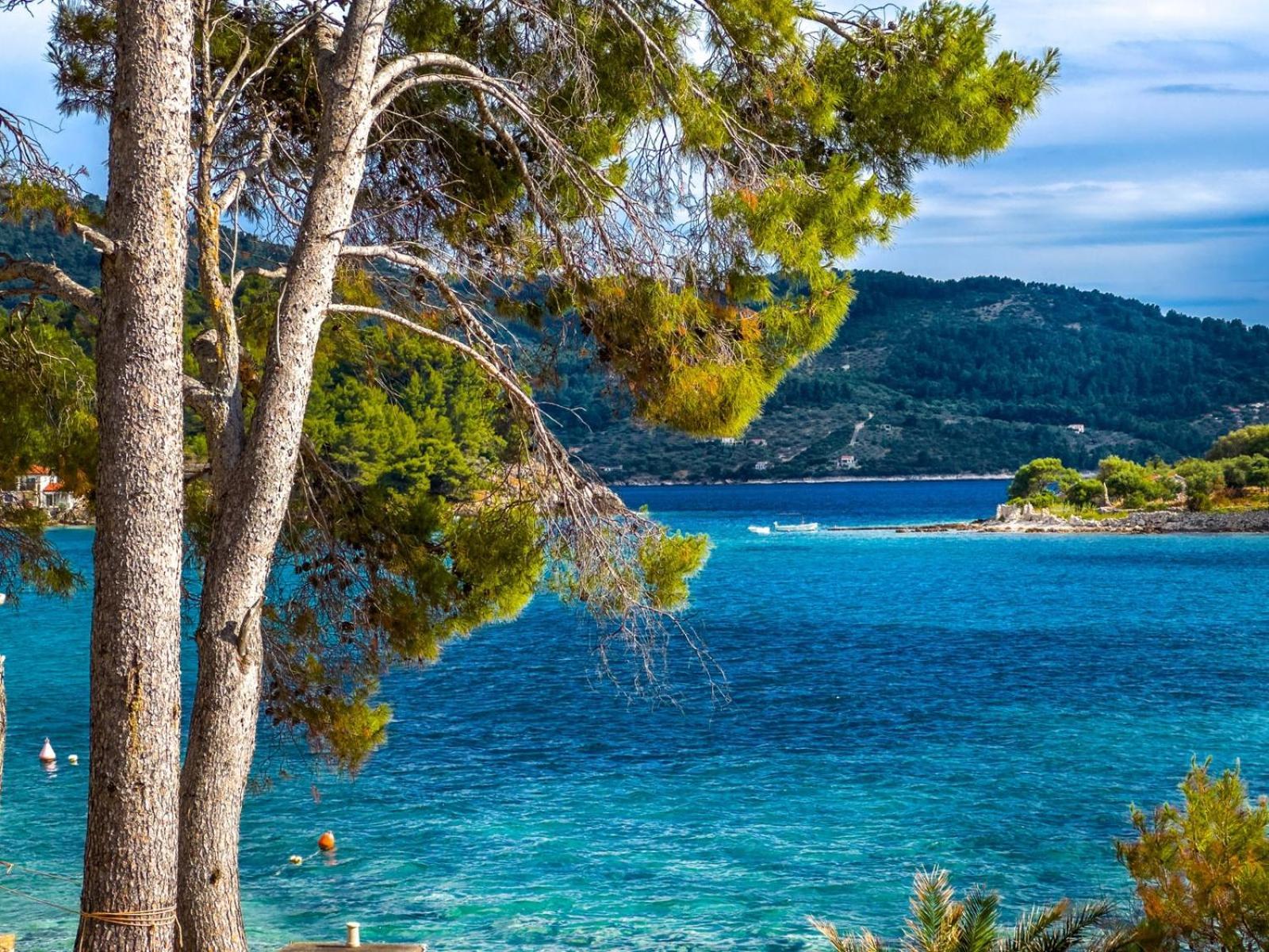 Apartment Tanja Vela Luka Luaran gambar