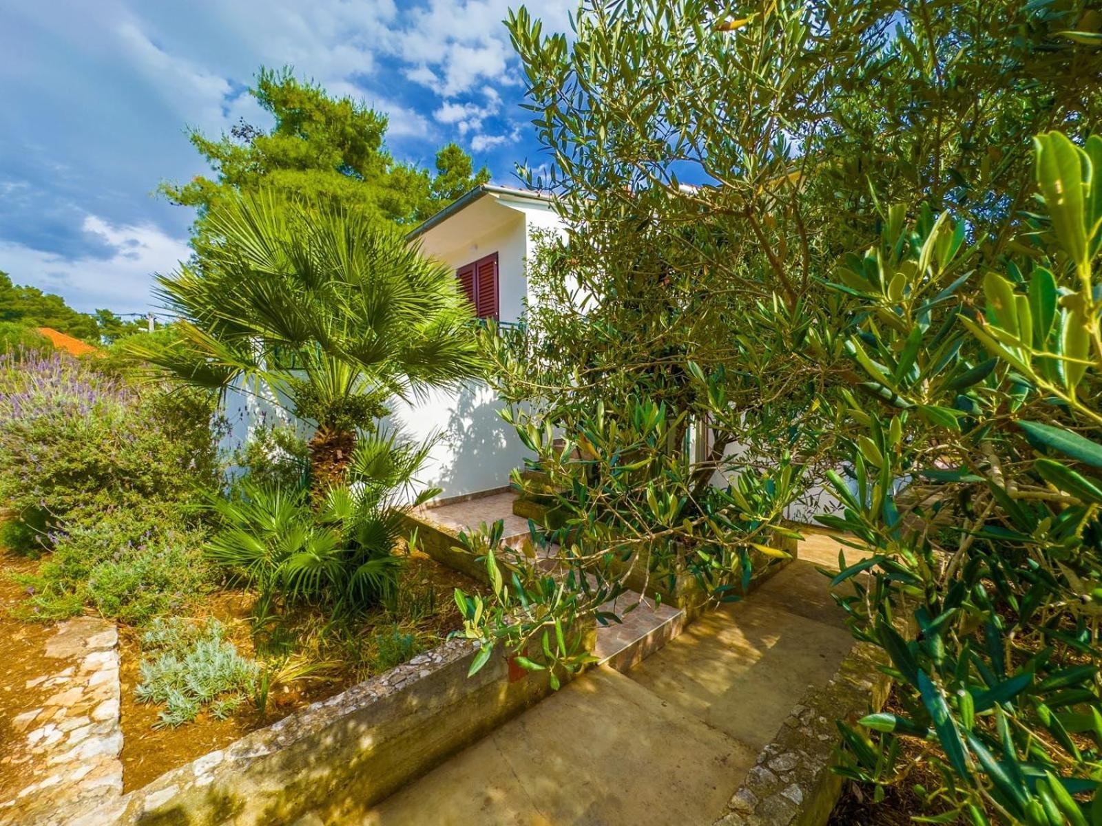 Apartment Tanja Vela Luka Luaran gambar